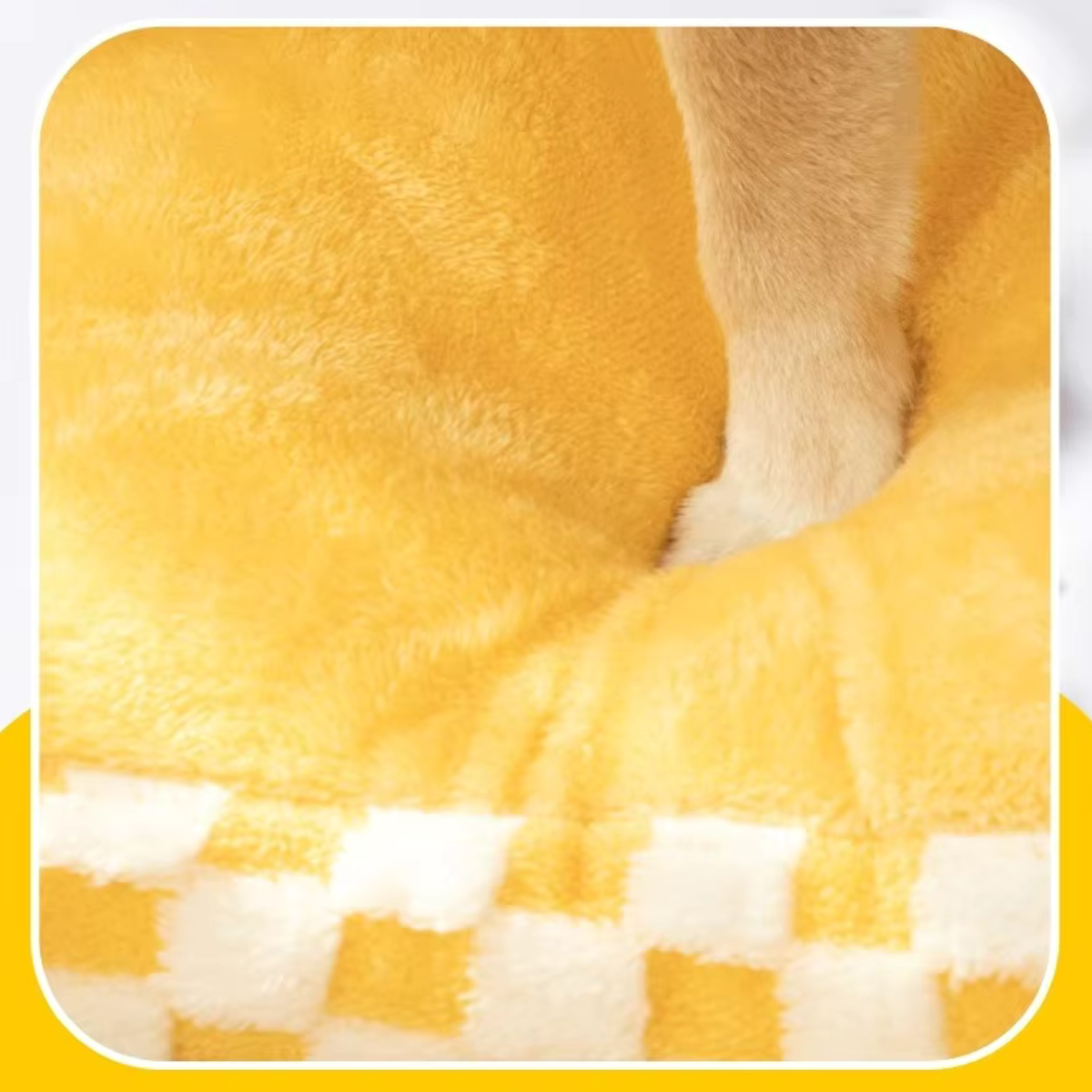 Big Eyes Plaid Pet Sofa