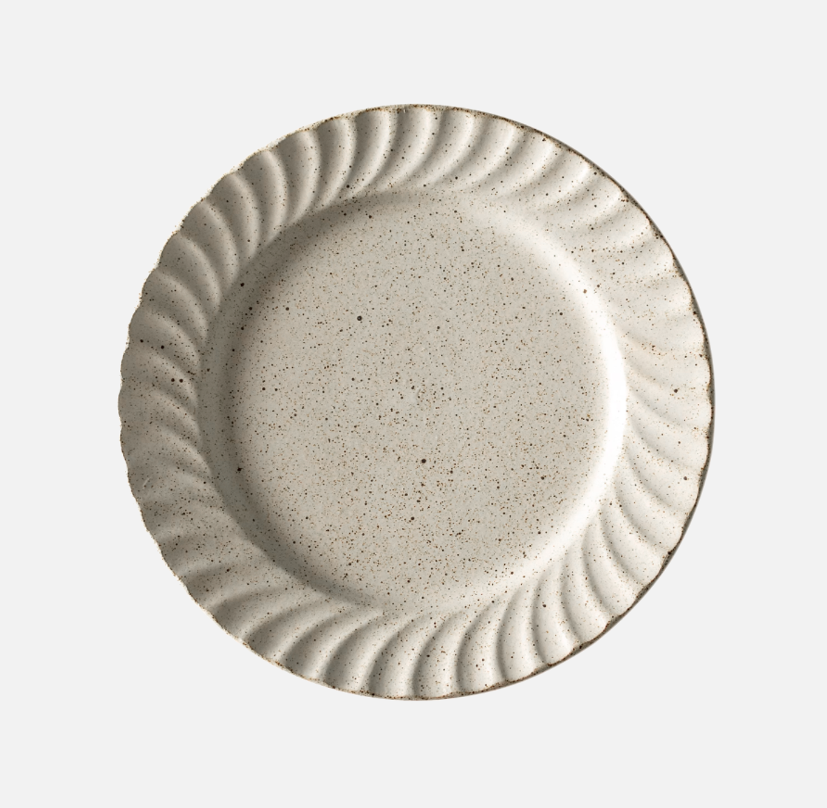 Texture Speckled Plate
