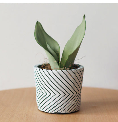 Imprint Painted Ceramic Planters